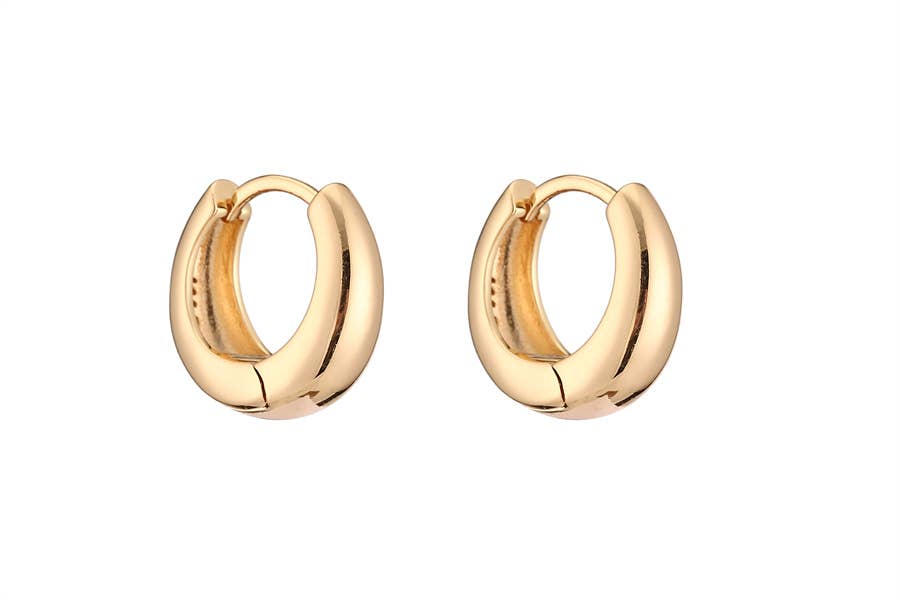 Ladies Metal Hoop Fashion Elegant Earrings