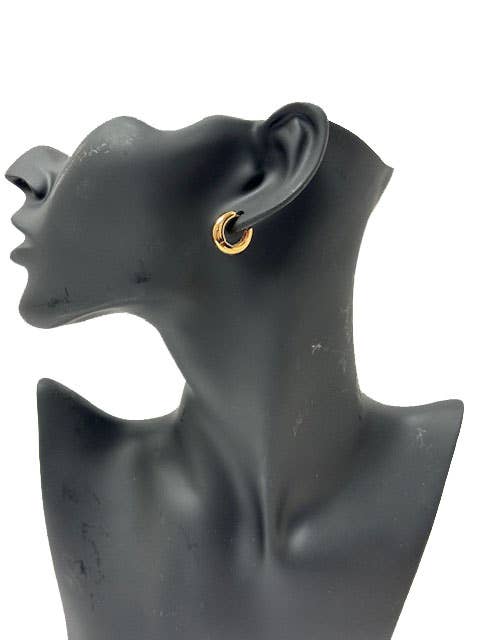 Ladies Metal Hoop Fashion Elegant Earrings